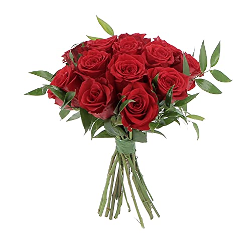 KENTIS - Bouquet di 12 Rose Rosse a Stelo Lungo 50 cm - Mazzo di Fiori Freschi a Domicilio in Italia - Rose Vere Regalo
