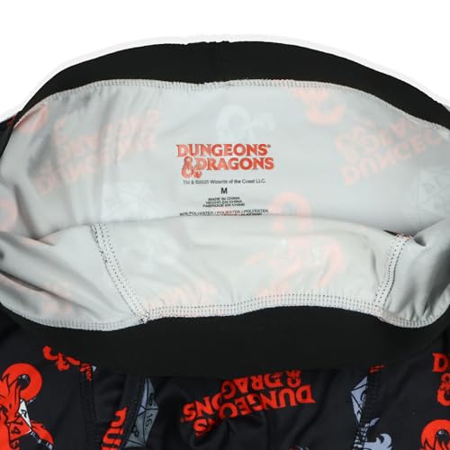INTIMO Dungeons and Dragons Men's D20 Dice and D&D Logo Adult Boxer Briefs Long Leg Underwear2