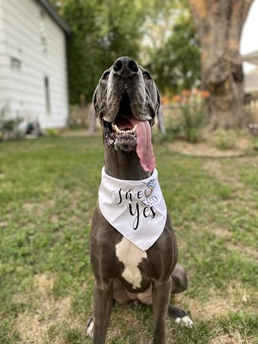 My Humans are Getting Married She Said Yes Dog Bandana for Wedding Engagement Photos, Pet Scarf Accessories for Dog Lovers, Bridal Shower Gift, Pack of 2