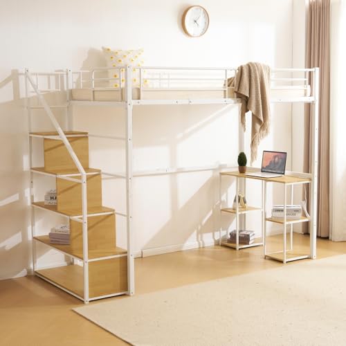 SOFTSEA tgxbh VO pCvxbh nC^Cv Ki fXNt [t RZg [ l炵 X`[ ϐk xbh  (zCg)