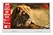 Produktbild JVC LT-32VHP255W 32 Zoll tragbarer Fernseher / Smart TV mit Akku- & Strombetrieb (HD Ready, Triple-Tuner, HDR10, Dolby Audio, für zu Hause & Outdoor geeignet) - 6 Monate HD+ inkl., Weiß