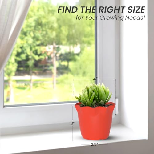 Image of YUCCABE ITALIA SHERA 4 Inch Plastic Flower Pot 6 Piece Set of Unbreakable Round Shape Planter for Home Garden Seedling, Indoor and Outdoor (Red)