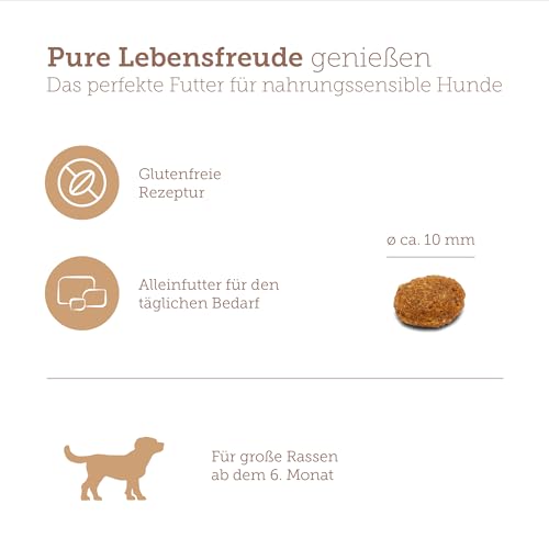 MERA Pure Sensitive Junior mit Truthahn & Reis (4kg), leicht verdauliches Welpenfutter für Junge Hunde großer Rassen ab dem 6. Monat