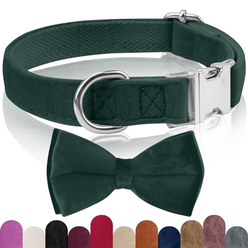 KTWSUEF Collare Cane, papillon cane Collare per Cani Velluto, Collare per Cani Comodo Resistente, Papillon per Cani Rimovibile Regolabile, Per Matrimoni, Compleanni, Eventi Festivi