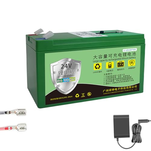 HJGHY 24v,8Ah, Station d'alimentation Portable au Lithium 24 V 10 Ah 12 Ah 6 Ah 8 Ah, Plus de 2 000...