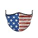 Top Trenz Reusable Face Mask Made with Stretch Cloth for Everyday Use - Indoor/Outdoor Face Cover - American Flag - One Size Fits Most Ages 10+