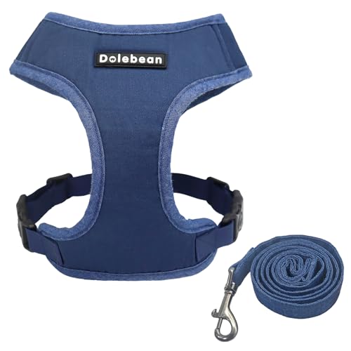 Pettorina per cani di piccola taglia, guinzaglio incluso, non tira a forma di Y, facile da camminare, regolabile, per cani di piccola taglia, per cuccioli di labrador (blu, XL)