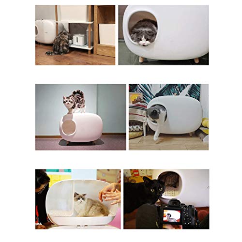 Bac à litière fermé pour chat grand format 60cm de toilette verte