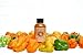 Liv N Spicy Habanero Elixir – All-Natural Spicy Mixer & Flavor Booster for Cocktails, Mocktails, Food & More – No Sugar, Salt, or Alcohol – 3 fl oz