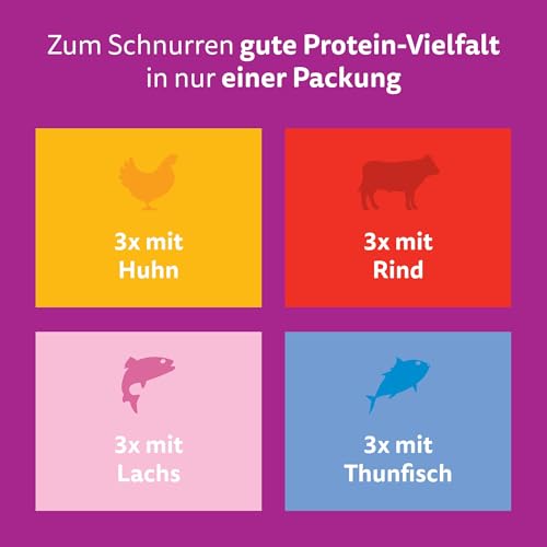 Whiskas Senior 7+ Katzennassfutter Gemischte Auswahl in Sauce, 48 Portionsbeutel, 12x85g (4er Pack) – Hochwertiges Katzenfutter nass, für Katzen ab 7 Jahren und älter