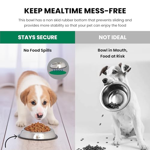 ICONIC PET 1 Cup/8 Oz Heavy Weight Non-Skid Stainless Steel High Back Pet Food/Water Bowls - 2 Pack with Removable Anti Skid Rubber Ring - Dog/Cat Feeding Bowl in Unique Design, Dishwasher Safe