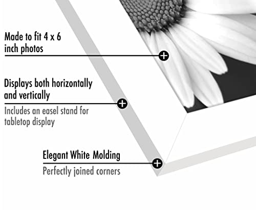Image of Americanflat 4x6 Picture Frame with Shatter-Resistant Glass - Set of 2 - Signature Collection - Gallery-Style Frames Made of Engineered Wood - Picture Frames for Tabletop and Wall Display - White