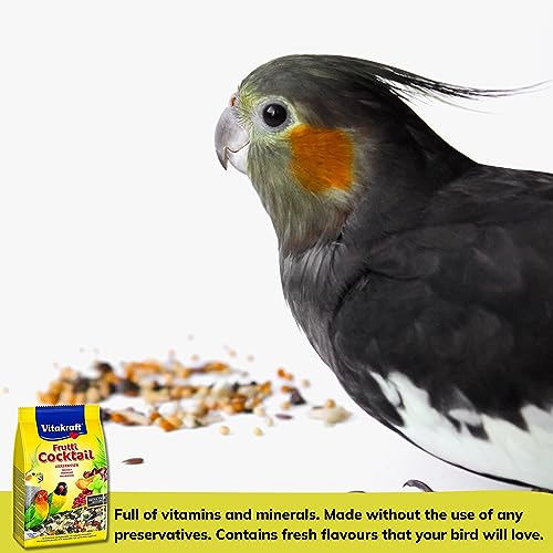 Cockatiel Food Bundle - Mix 1kg, Frutti Cocktail 250g, Treats Sticks x3, Millet Spray x6 - Image 6
