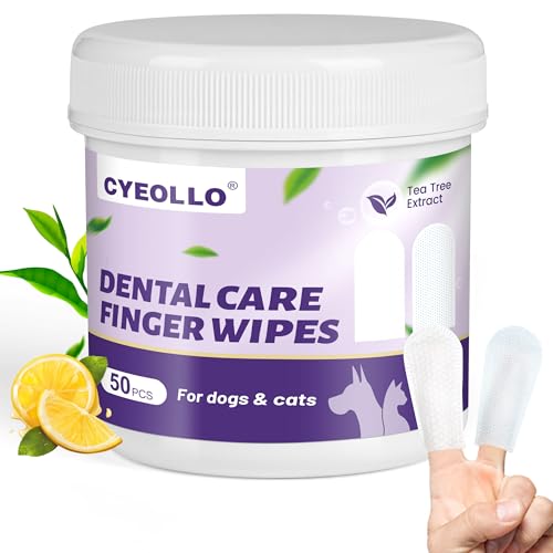 Cyeollo Dog Dental Wipes for Teeth Cleaning Pet Finger Wipes Reducing Plaque  Tartar Breath Freshener Disposable Gentle Cleaning  Gum Care Pet Wipes for Dogs Cats Norinse Toothbrush 50 Counts  Cucciolini Doodles Cyeollo dog dental wipes for teeth cleaning pet finger wipes reducing plaque  tartar breath freshener disposable gentle cleaning  gum care pet wipes for dogs cats no rinse toothbrush 50 counts   cucciolini doodles