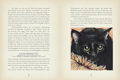 Katzenmagie: Entdecken Sie die magische Kraft der Katzen: Katzenmagie. Entdecken Sie die magische Kraft der Katzen. Spannendes zu Mythen, Legenden und ... Raubkatzen. Mit Ritualen, Fantasiereisen uvm.