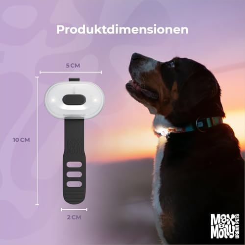 Max & Molly Matrix 2.0 Ultra LED, Hundelicht für Geschirr, Leine & Halsband, Schwarz, Wasserfest, USB Wiederaufladbar, Hundelampe LED, Hunde Leuchtanhänger für mehr Sicherheit bei Nacht