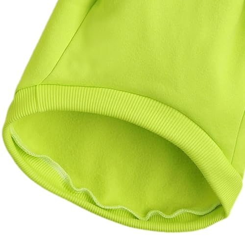 Image of Soft Puppy Sweater for Small Dogs Pullover, Light Green S | Elastic Cuffs Pet Clothes, Holiday Party Matching, Fall Winter Daily Outfit, Soft Breathable Machine Washable Sweatshirt