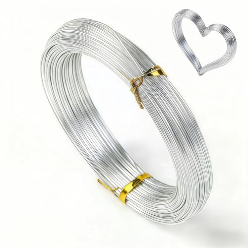 20 Gauge Aluminum Craft Wire - 100 Feet Flexible Metal Wire for Jewelry Making Bonsai Training Floral Arrangements DIY Crafts (0.8mm Silver) (20 Gauge)