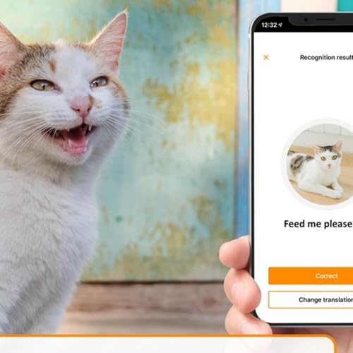 Page de couverture de Papo Sobre Pets - Aplicativo promete traduzir miados do seu gato
