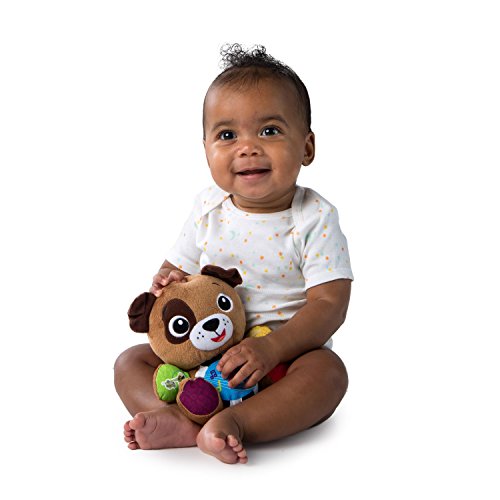 Baby Einstein Press & Play Pals - Marrom