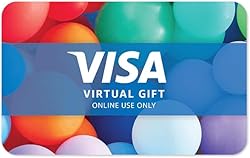 Visa Virtual $100 eGift Card (plus $5.95 Purchase Fee) - For Online Use Only