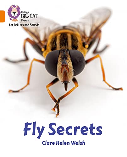 Collins Big Cat Phonics for Letters and Sounds – Fly Secrets: Band 6/Orange
