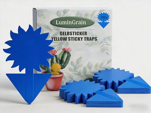 Trauermücken Blausticker Thripse Bekämpfen 30 Stück Blautafeln gegen Thripse für Zimmerpflanzen Effektive Blaufalle zur Schädlingsbekämpfung im Innenbereich Ungiftig & Umweltfreundlich