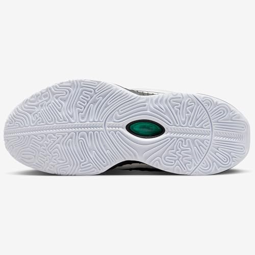 NIKE Lebron XXI Conchiolin Big Kids' Basketball Shoes (FZ7189-100, White/Bicoastal/Photon Dust/Black) Size 3.54