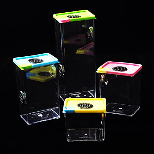 duhe189014 Insect Voeding Doos Acryl Reptiel Voeden Doos Duidelijke Transparante Reptiel Terrarium Huisdier Fokken Case… - Afbeelding 7