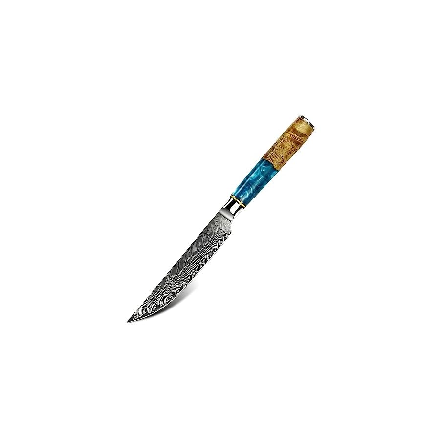 Seido Knives Executive Straight Edge Steak Knives - Japanese VG10 Damascus Steel, Effortless Meat Slicing, Full Tang Resin Blue Wood Handle