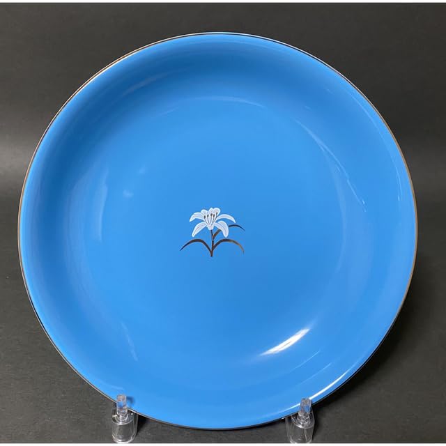 Amazon | たち吉 橘吉 カレー皿 パスタ皿 深皿 21㎝ 花もよう | ノー