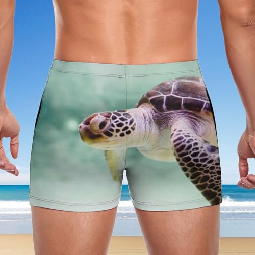 Swimming trunks homme tortue brune pour la natation