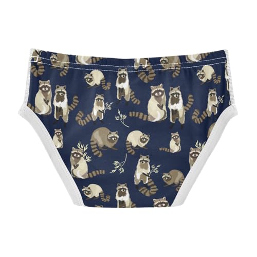 Boys' Exclusive Briefs Toddler Underwear 95% Combed Cotton Boxerbriefs 2T Raccoon Pattern 412