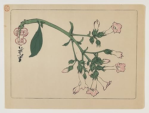 Tableau plante à fleurs Hana Kurabe style japonais vintage grand format 60x90cm