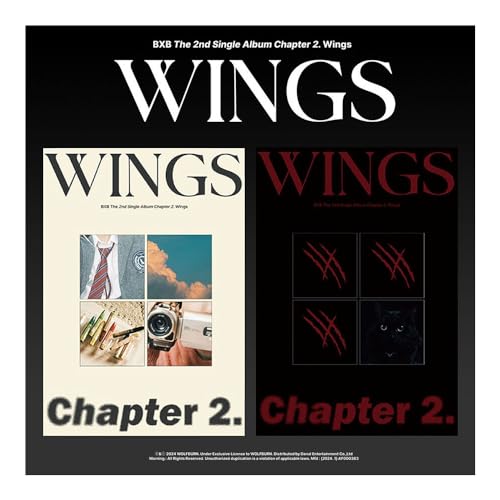 Album BXB CHAPTER 2 WINGS Set DAY NIGHT Solution Collection K-POP - 2