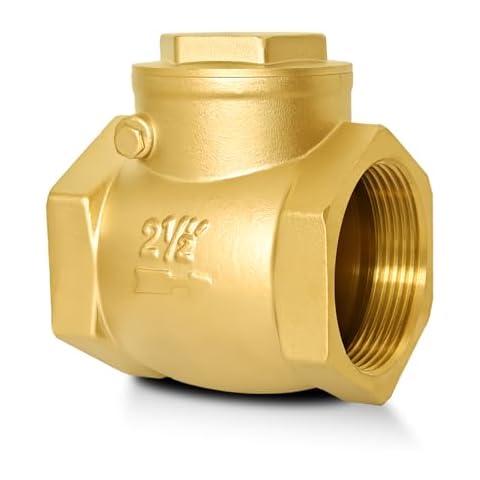 2-1/2" NPT Horizontal Check Valve, Brass Non Return Swing Check Valve to Prevent Water Backflow, Level One Way Counterflow Valve to Prevent the Medium Backflow for Oil Water Gas Air（2-1/2", DN65） Cover