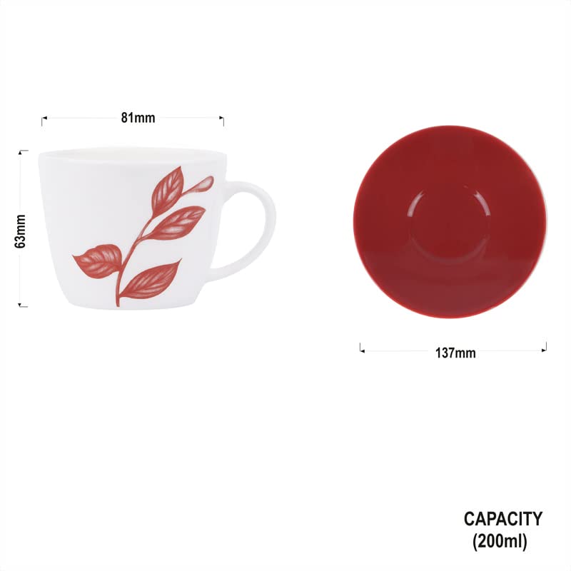 Image of Dandy Lines Royal Cups and Saucers Red Leaves Paradise, Cup and Saucer, Ceramic, Pack of 6, Microwave & Dishwasher Safe, Great for Hosting & Gifting