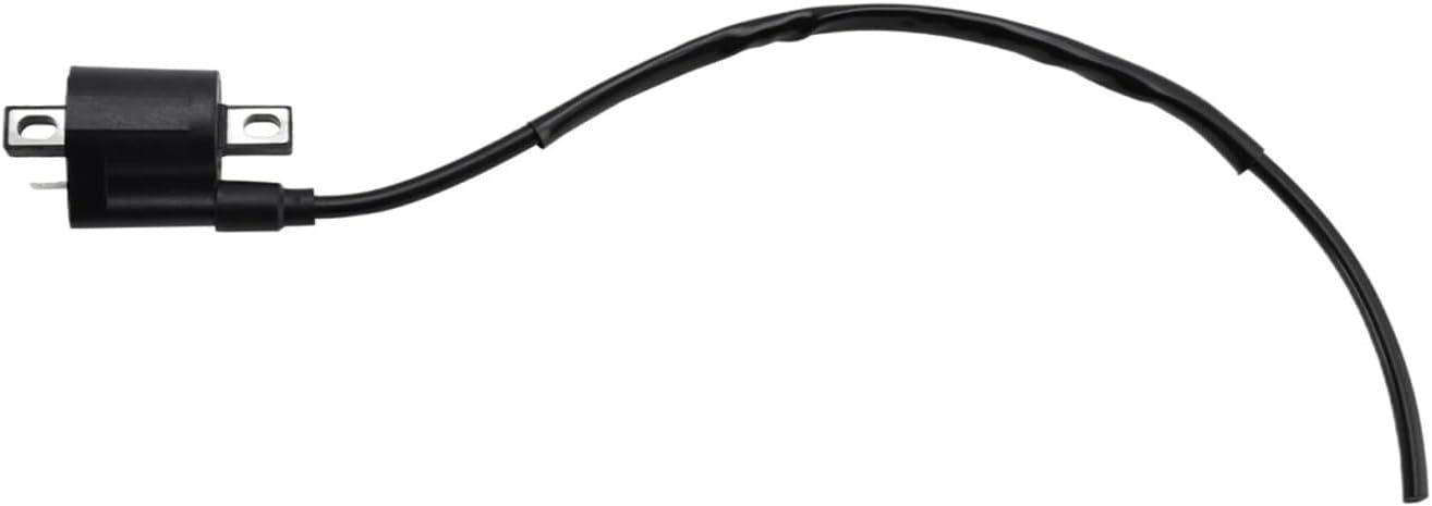 Universal Motorcycle Igniter Parts And Accessories Suitable For LT-F160 Q 1990-2007 And DRZ400 2000-2004