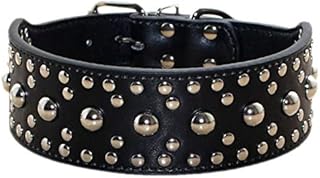 haoyueer New Unisex Studded Leather Dog Collars Medium Large Dog Necklace for Pitbull Doberman Sizes M L(Black,M)