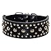 haoyueer New Unisex Studded Leather Dog Collars Medium Large Dog Necklace for Pitbull Doberman Sizes M L(Black,M)