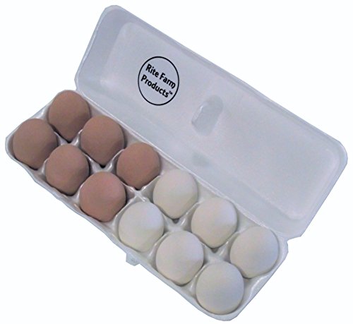 12 PACK 6 BROWN & 6 WHITE CERAMIC DUMMY CHICKEN NESTING EGG HATCHING CRAFT NEST 12 PACK 6 BROWN & 6 WHITE CERAMIC DUMMY CHICKEN NESTING EGG HATCHING CRAFT NEST