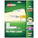Avery Purple File Folder Labels for Laser and Inkjet Printers with TrueBlock Technology, 2/3 inches x 3-7/16 inches, Pack of 750 (5666)