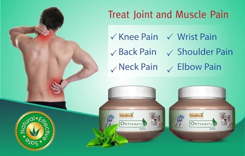 Image of Dreamads Orthayu pain relief gel PO2,Each pack100g I Knee pain relief I Ayurvedic orthyu gel I Ayush approved balm I Vediva ayurveda orthayu balm