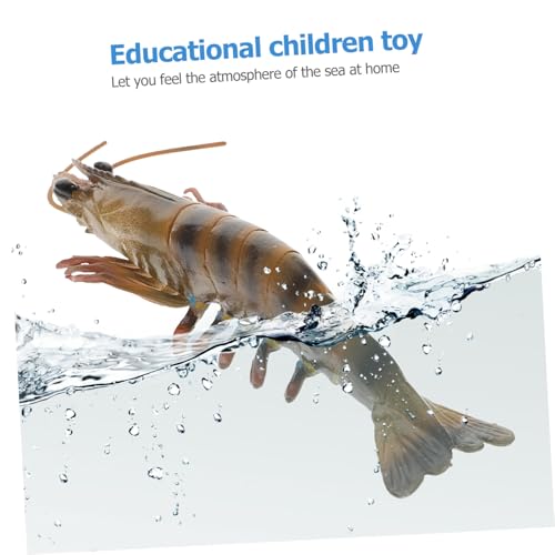 SOPOTUTU Garnelenspielzeug Für Junge Mädchen Lernen Meerestierspielzeug Figuren Junge Mädchen Spielzeug Haushaltsspielzeug Pädagogisches Lernspielzeug Interessantes Kinderspielzeug Realisti