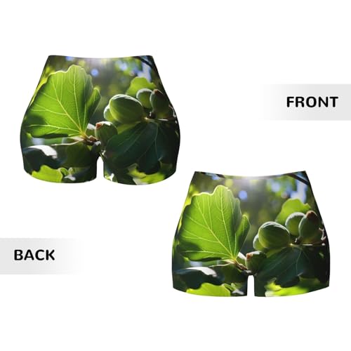 fig Pattern Sports Shorts, high Elastic Slim Fitness Pants, Suitable for Yoga/Leisure/Daily wear3