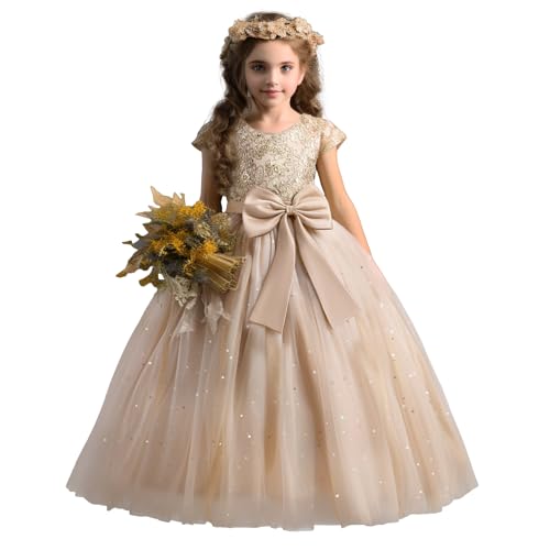 TTYAOVO Girls Pageant Princess Flower Dress Kids Prom Puffy Ball Gowns