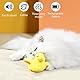 Interaktives Katzenspielzeug Elektrisches Katzenspielzeug Selbstbeschäftigung, Katzenminze Spielzeug Katzenspielzeug Interaktives Spielzeug für Katzen, Katzen Spielzeug Kitten Cat Toys for Indoor Cats