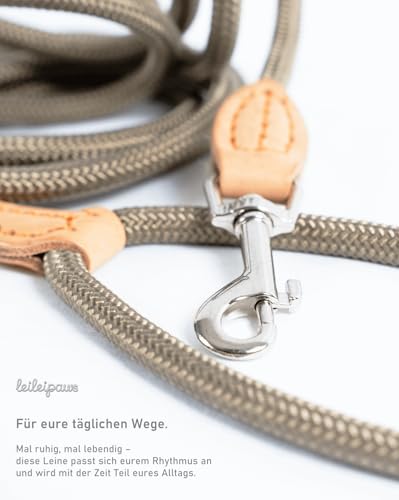 LeileiPaws Tauleine Hund – Nylon Hundeleine für kleine, mittelgroße & große Hunde – hundeleine leicht mit Schlaufe für kleinere Hunde, robuste Hundeleine große Hunde(Khaki, 2m x 0.8cm)