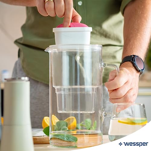 Wessper Wasserfilter für Wasserkanne, Magnesium-Wasserfilterpatrone, Aktivkohlefilter, Kompatibel mit Philips, Aquaphor PearlCo Kanne - Packung mit 6 Stück.