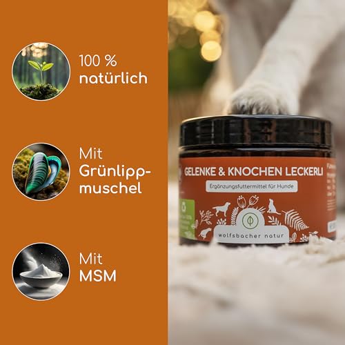 Gelenktabletten für Hunde als Snack | 140 Leckerlis mit Grünlippmuschel & MSM | Gelenkschutz, Knorpelpflege & Knochenaufbau | Natürliche Zutaten unterstützen Gelenke und Knochen